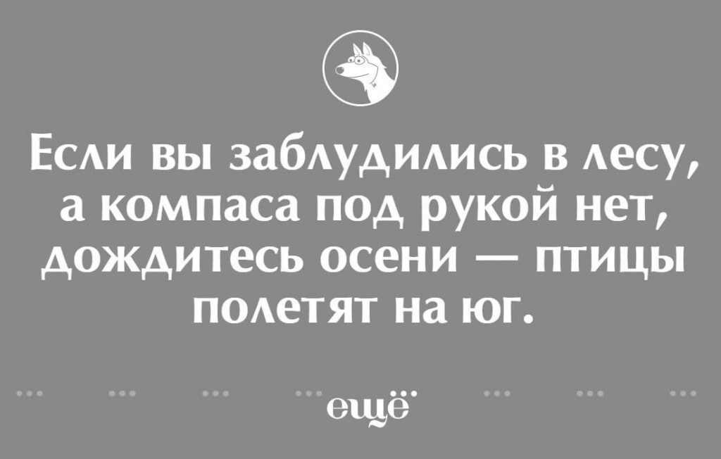 5пав (1)