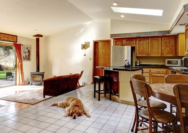 Кухня и гостиная напольные покрытия собака фото