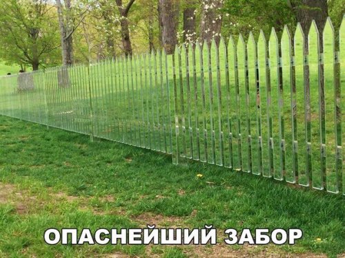 Пятничные анекдоты (15 шт) Пятничные анекдоты (15 шт)