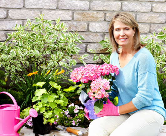 Senior-Lady-Gardening Senior-Lady-Gardening