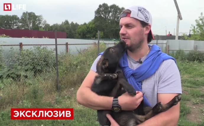 Бывший хоккейный вратарь "Спартака" тратит деньги не на шампанское, а на приюты для собак