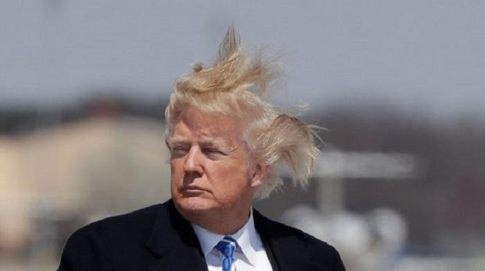 Трамп Трамп