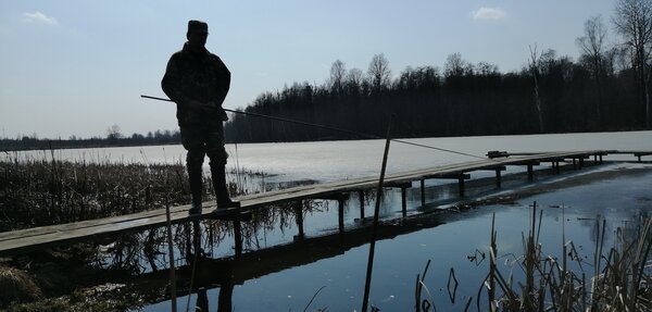 Знаю несколько водоемов, на которых можно ловить на удочку, либо с лодки, либо с мостков. Берега заболочены и по другому никак. С лодки в нерестовый запрет нельзя. Мы же с Вами не нарушители. Мы стараемся, по возможности, не нарушать законы о рыбалке. Хотя лично ко мне, не раз в запрет, подплывал рыбнадзор с нехилыми такими моторами. Возникает вопрос-почему я на своей одноместной надувнушке, помешаю нересту всей рыбы в округе, а они не мешают... Но сейчас мы не об этом... И так-строим мосток. На фото-мой личный. Труба семидесятка, швеллер на перемычки,приварены закладные, для болтовых соединений, доска на 50. Короче все по взрослому. На века. А теперь читаем закон. "В нерестовый запрет, разрешена ловля ТОЛЬКО с берега, на одну удочку"... Только с берега, а мы ловим с искусственного сооружения... Как поведет себя в этой ситуации исполнитель? При чем таких мостков на водоеме-больше двух десятков и они ВСЕГДА заняты. При чем у нас, в Смоленской области, запрет до 10 июня. При чем штраф-от двух до пяти... Получите, распишитесь...Обсудим в комментах?
