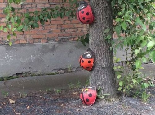 Тем временем в России… (27 фото) Тем временем в России… (27 фото)