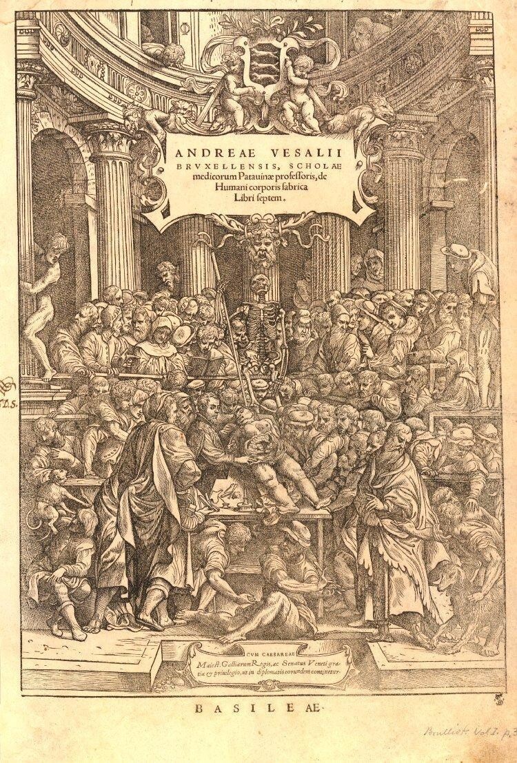 Представление в анатомическом театре, 1543 год. 20 примеров: как лечили в старину
(18 фото)