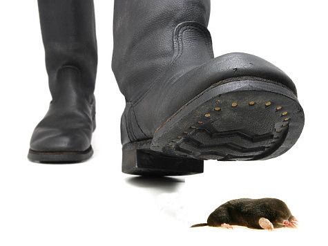 фото: Fotolia.com фото: Fotolia.com