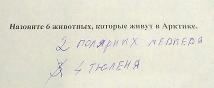 Когда школьники понимают больше, чем многие взрослые Когда школьники понимают больше, чем многие взрослые