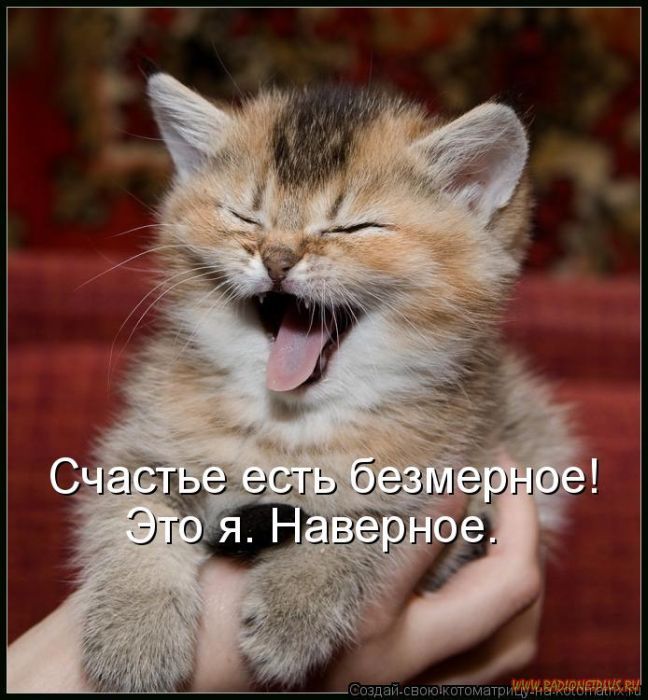 Котоматрицы великолепные, каждая с кусочком позитива и хорошего настроения!!! Котоматрицы великолепные, каждая с кусочком позитива и хорошего настроения!!!
