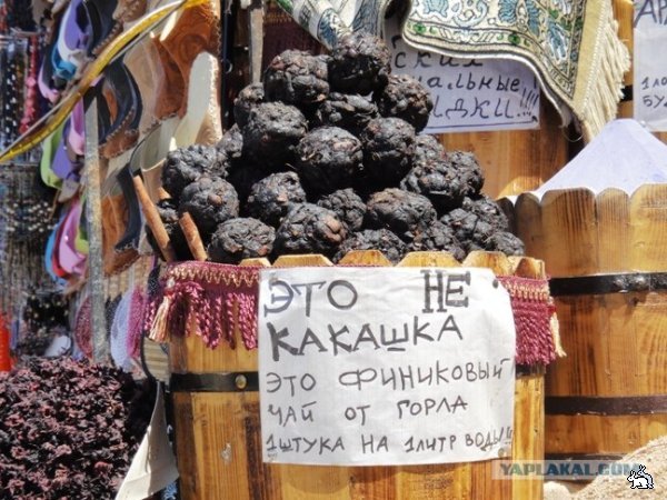 Картинки по запросу смешные объявления с ошибками