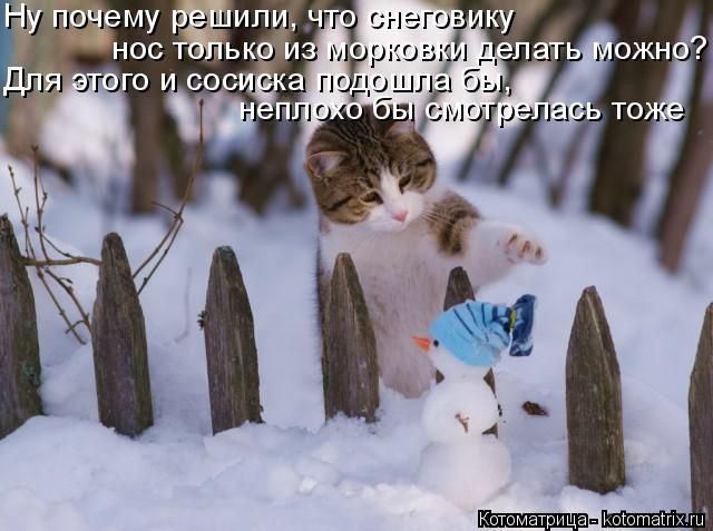 Котоматрицы великолепные, каждая с кусочком тепла, позитива и улыбкой!!! Всем добрых событий сегодня!!! Котоматрицы великолепные, каждая с кусочком тепла, позитива и улыбкой!!! Всем добрых событий сегодня!!!