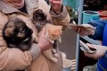 Бессердечие через жажду прибыли или отсутствие человечности в принципе?