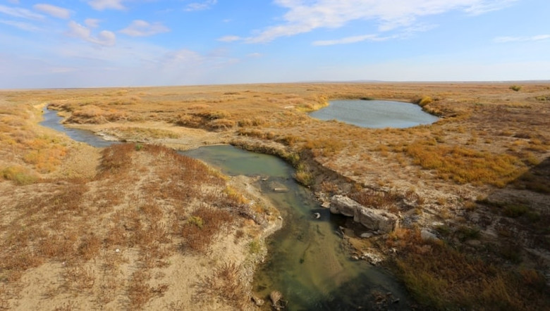 �������� ����������� �������