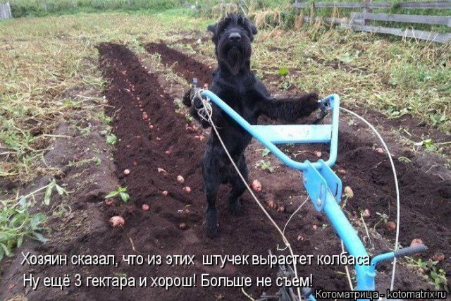 Котоматрицы великолепные, каждая с кусочком тепла, позитива и улыбкой!!! Всем добрых событий сегодня!!! Котоматрицы великолепные, каждая с кусочком тепла, позитива и улыбкой!!! Всем добрых событий сегодня!!!