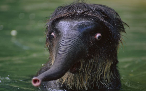 В семье не без урода (Фото) В семье не без урода (Фото)