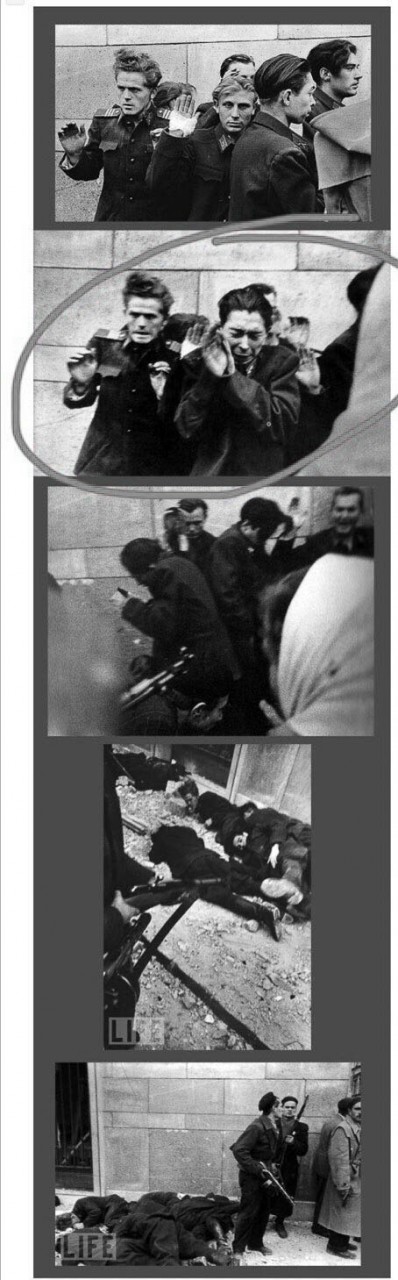 Расстрел молодых полицейских мятежниками. И все эти зверства — напоказ перед западными журналистами!