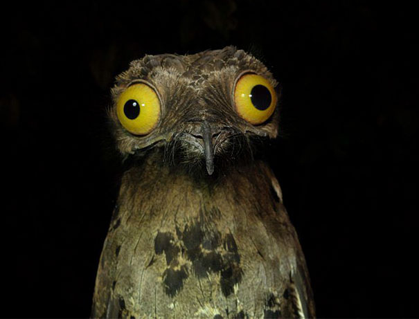 В семье не без урода (Фото) В семье не без урода (Фото)