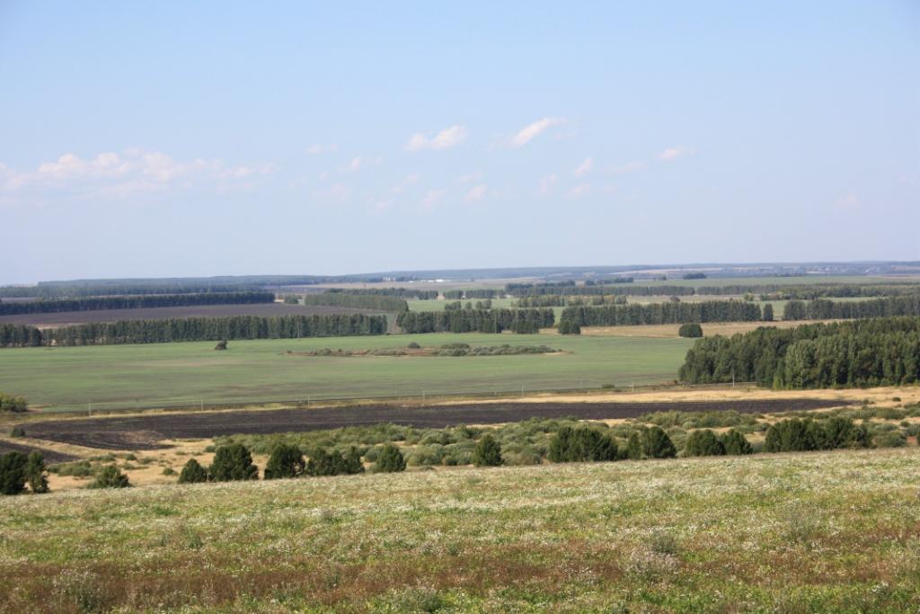 Природа России 5 Природа России 5