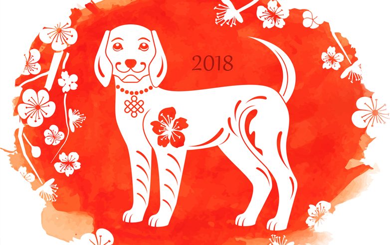 Напутствия для всех знаков зодиакав год земляной (жёлтой) собаки на 2018 год