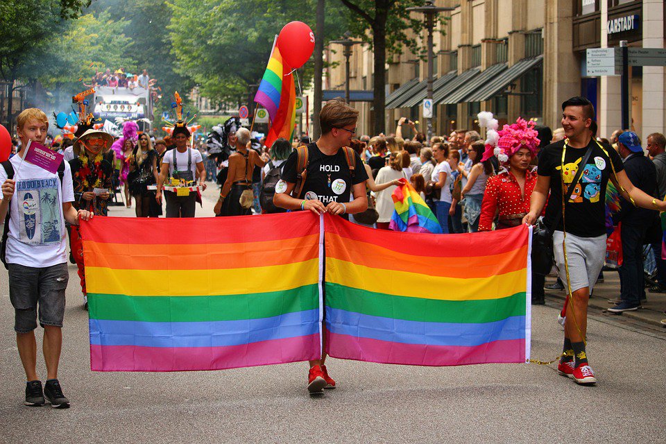 https://360tv.ru/media/uploads/article_images/2019/08/44426_csd-2735009_960_720.jpg
