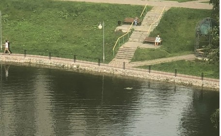 На Дегунинском пруду несознательные граждане открыли пляжный сезон