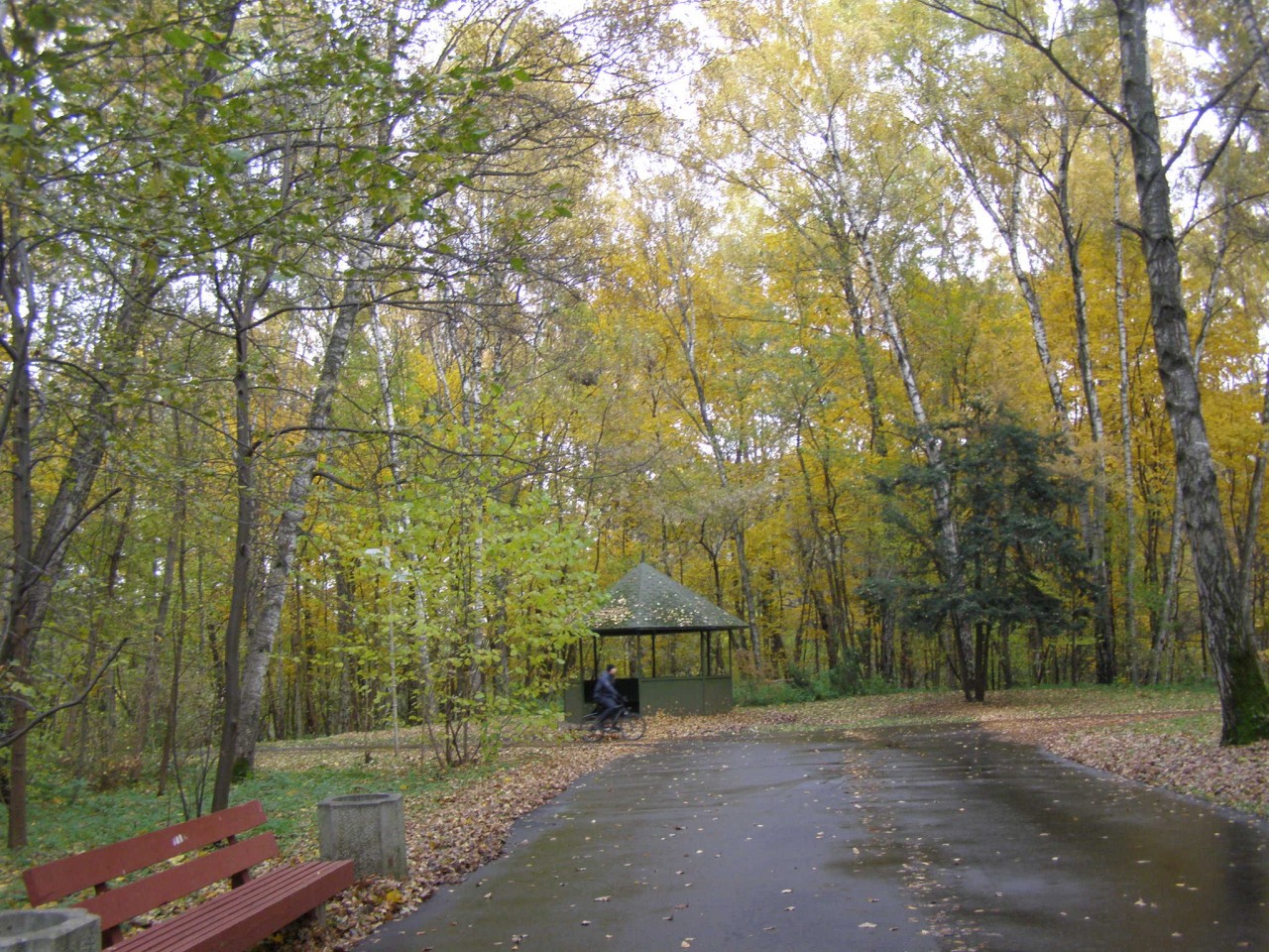 Прогулки по Москве. Осень в Ботаническом саду. Прогулки по Москве. Осень в Ботаническом саду.