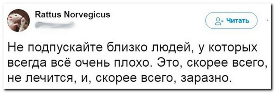 Приколы из соцсетей в забавных скриншотах Приколы из соцсетей в забавных скриншотах
