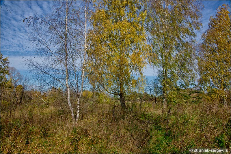 Поход в осеннюю природу Поход в осеннюю природу