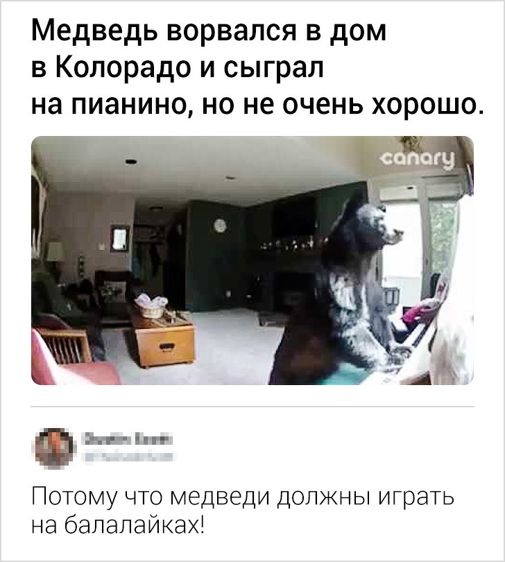 17 точных комментариев от пользователей с развитым чувством юмора 17 точных комментариев от пользователей с развитым чувством юмора