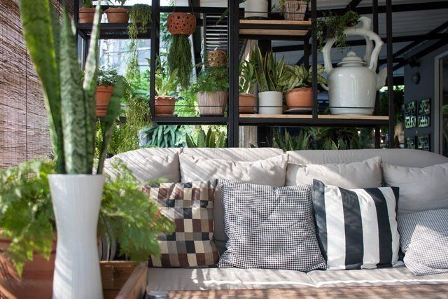 Домашние растения зонирование уют зона отдыха диван фото