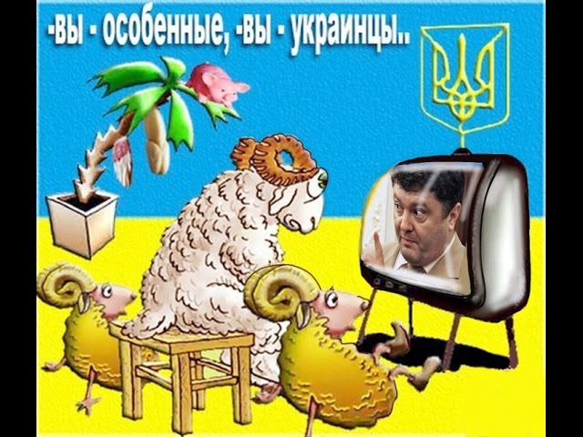 Донецк – укросказки. Продолжение…
