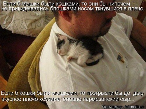 Самая убойная котоматрица Самая убойная котоматрица
