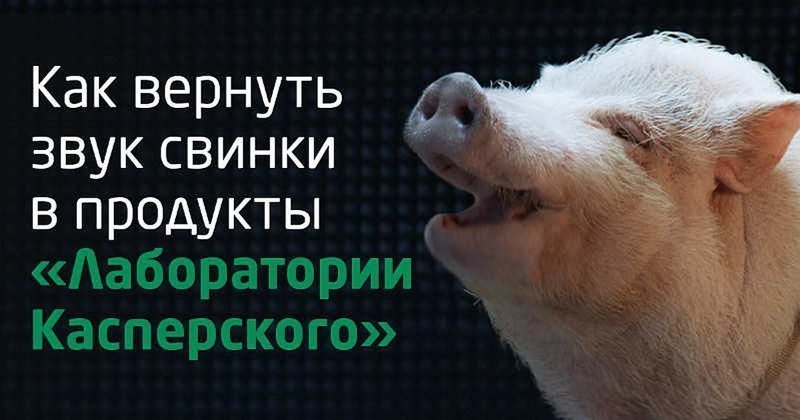 Диковинные знания и факты, которые позабавят вас, но вряд ли пригодятся Диковинные знания и факты, которые позабавят вас, но вряд ли пригодятся