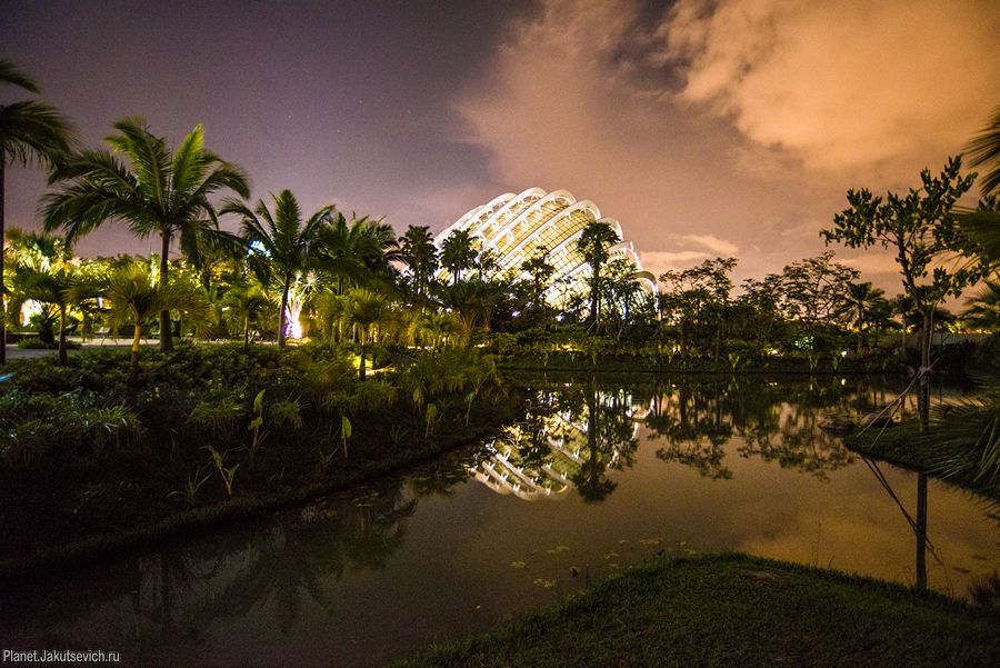 Сады у залива в Сингапуре – Gardens by the Bay