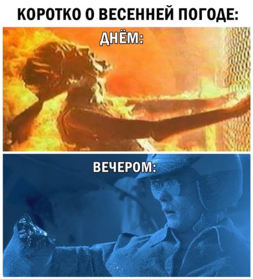 Немного юмора не помешает!