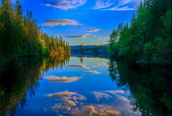 Природа России 4 Природа России 4