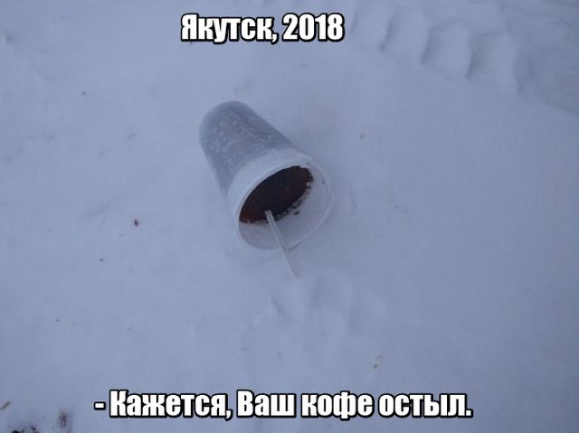 Подборка картинок Подборка картинок