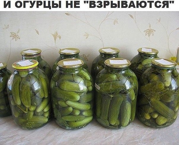 ОГУРЦЫ НЕ ВЗРЫВАЮТСЯ! ОГУРЦЫ НЕ ВЗРЫВАЮТСЯ!