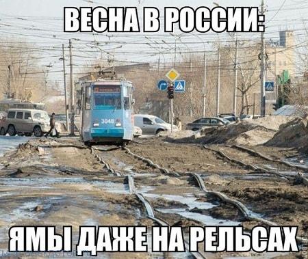 Итак…. в одном лесу Итак…. в одном лесу