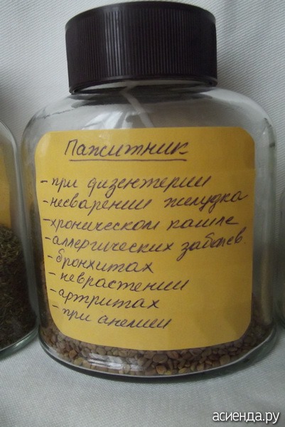 Пажитник. Моё отношение к этой пряности Пажитник. Моё отношение к этой пряности