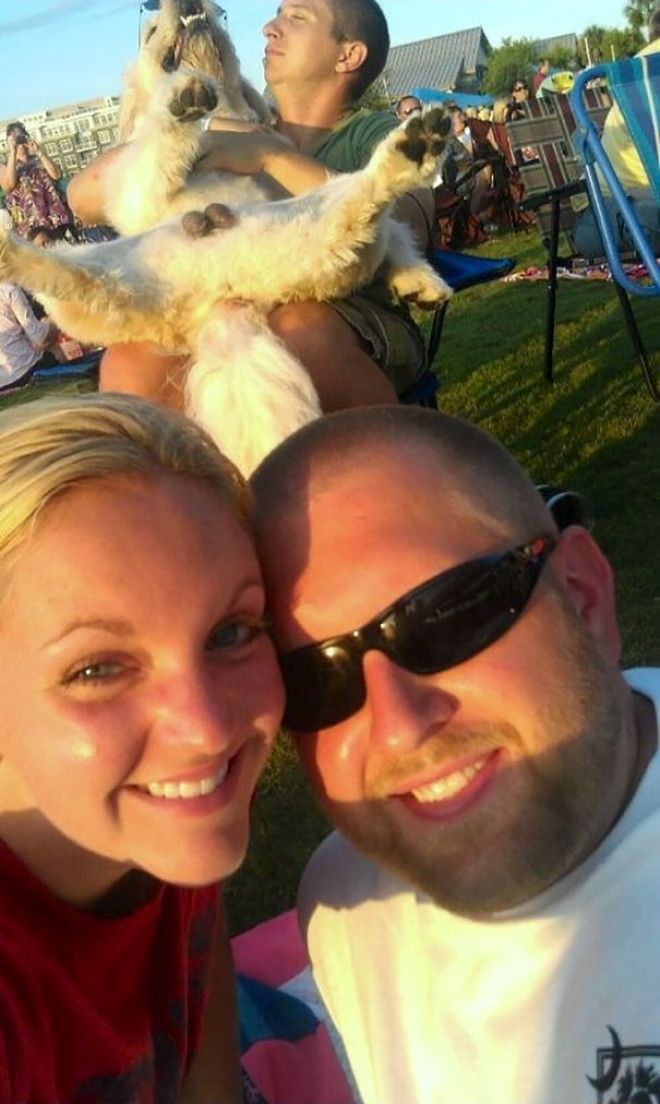 Funny Dog Photobombs Funny Dog Photobombs