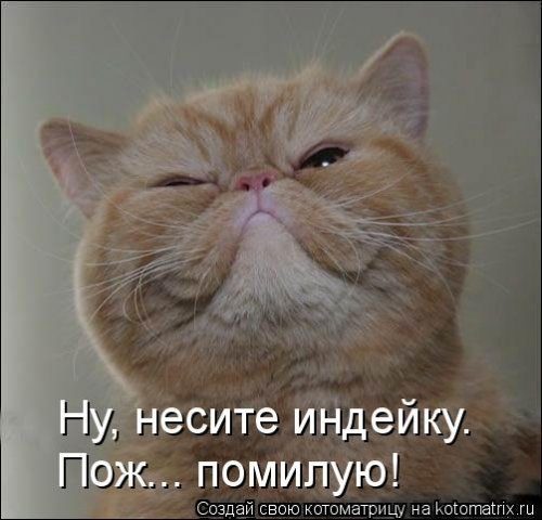 Самая убойная котоматрица Самая убойная котоматрица