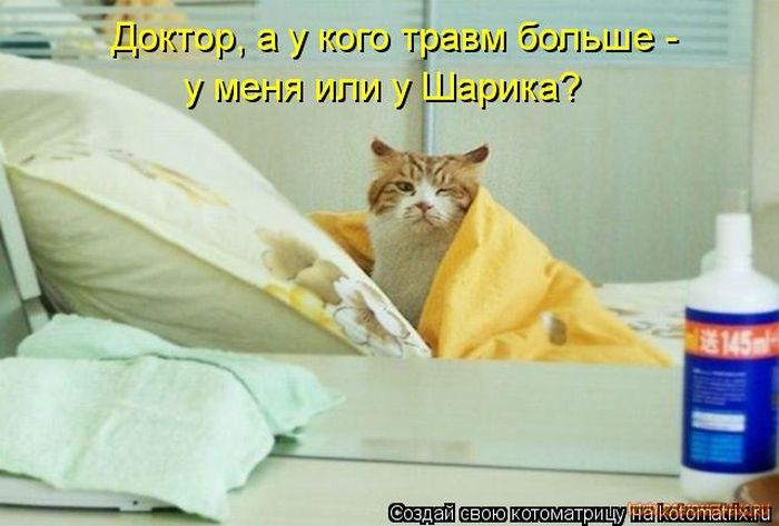 Котоматрицы великолепные, каждая с кусочком позитива и хорошего настроения!!! Котоматрицы великолепные, каждая с кусочком позитива и хорошего настроения!!!