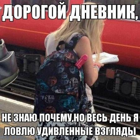 Итак…. в одном лесу Итак…. в одном лесу