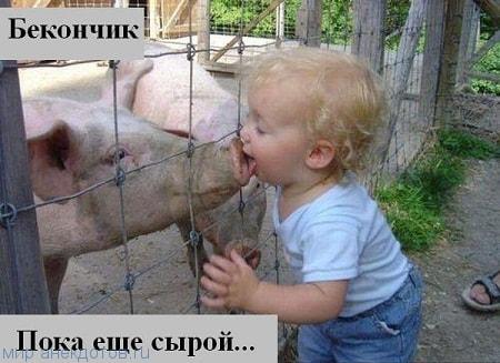 Итак…. в одном лесу Итак…. в одном лесу