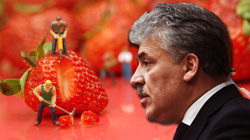 Клубничный король. Как Павел Грудинин заработал свои миллионы. Клубничный король. Как Павел Грудинин заработал свои миллионы.