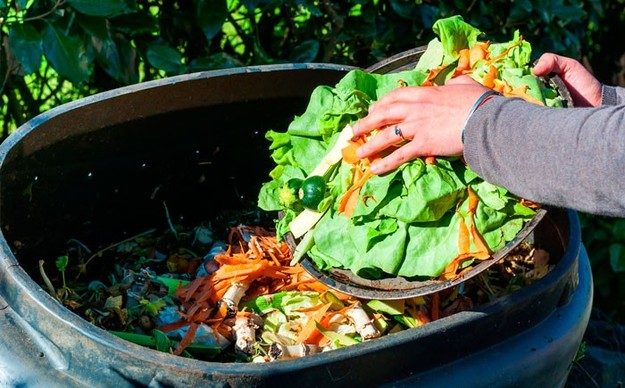 Экономия на еде: как уменьшить пищевые отходы Экономия на еде: как уменьшить пищевые отходы