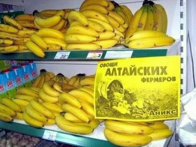 Так вот они какие, алтайские овощи Уморительные объявления, до которых кто-то же додумался
(18 фото)
