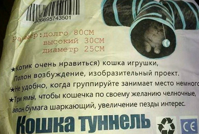 «Мой кот не извращенец!» «Мой кот не извращенец!»