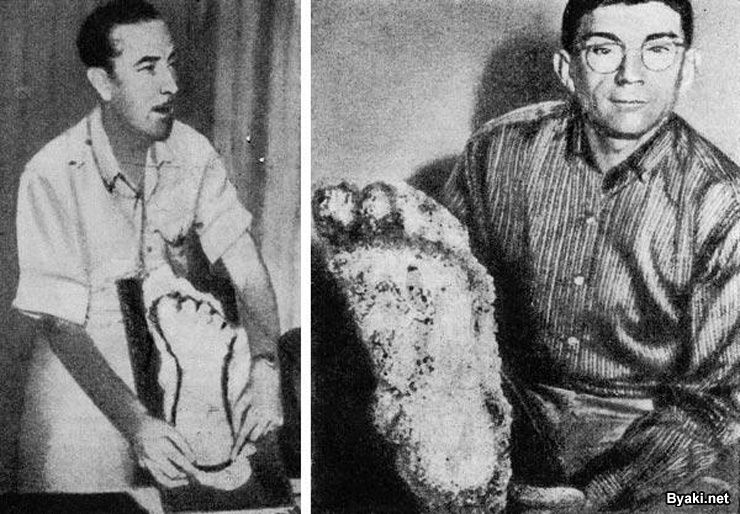 Любопытные факты о снежном человеке Любопытные факты о снежном человеке