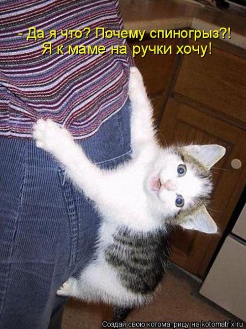 Самая убойная котоматрица Самая убойная котоматрица